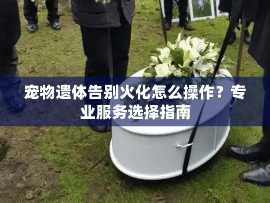 宠物遗体告别火化怎么操作？专业服务选择指南
