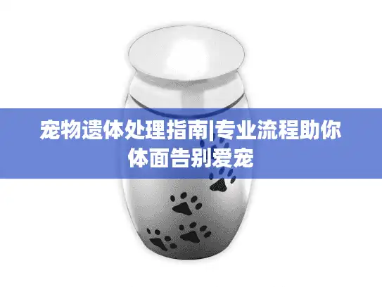 宠物遗体处理指南|专业流程助你体面告别爱宠