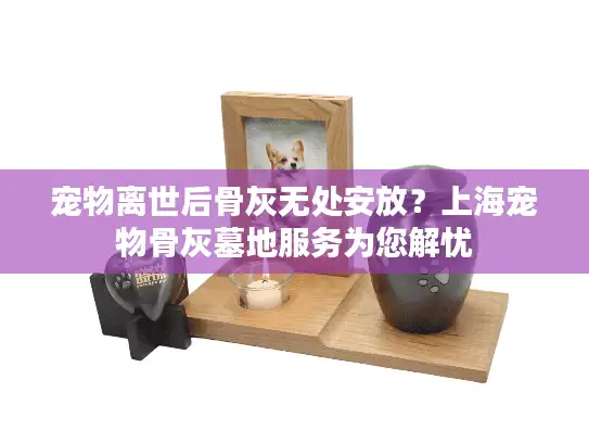 宠物离世后骨灰无处安放？上海宠物骨灰墓地服务为您解忧