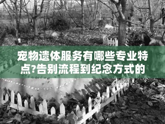 宠物遗体服务有哪些专业特点?告别流程到纪念方式的完整解析