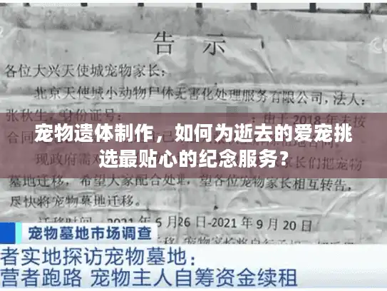 宠物遗体制作，如何为逝去的爱宠挑选最贴心的纪念服务？