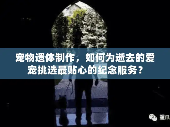 宠物遗体制作，如何为逝去的爱宠挑选最贴心的纪念服务？