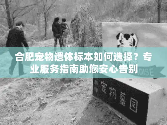 合肥宠物遗体标本如何选择？专业服务指南助您安心告别