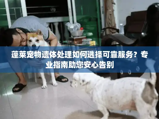 蓬莱宠物遗体处理如何选择可靠服务？专业指南助您安心告别