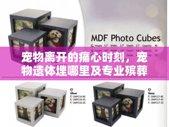 宠物离开的痛心时刻，宠物遗体埋哪里及专业殡葬服务指南