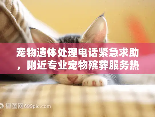 宠物遗体处理电话紧急求助，附近专业宠物殡葬服务热线