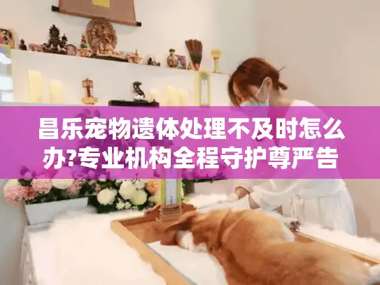 昌乐宠物遗体处理不及时怎么办?专业机构全程守护尊严告别