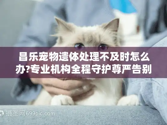 昌乐宠物遗体处理不及时怎么办?专业机构全程守护尊严告别