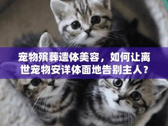 宠物殡葬遗体美容，如何让离世宠物安详体面地告别主人？
