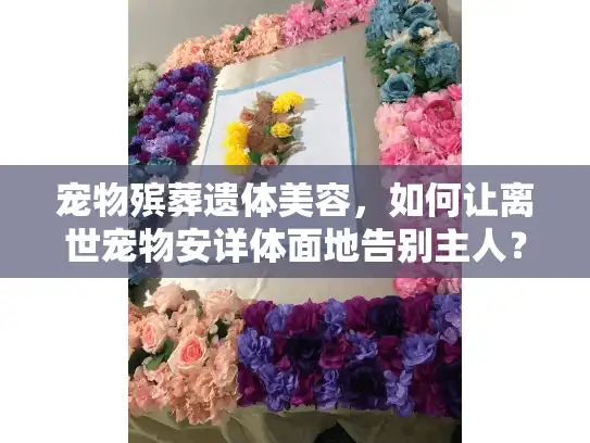 宠物殡葬遗体美容，如何让离世宠物安详体面地告别主人？