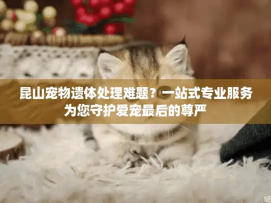 昆山宠物遗体处理难题？一站式专业服务为您守护爱宠最后的尊严