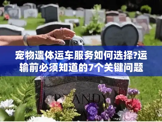 宠物遗体运车服务如何选择?运输前必须知道的7个关键问题