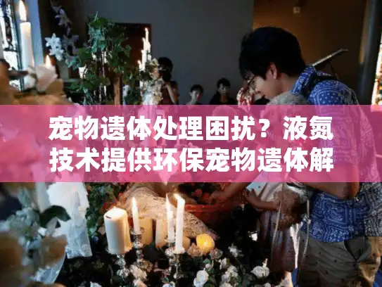 宠物遗体处理困扰？液氮技术提供环保宠物遗体解决方案