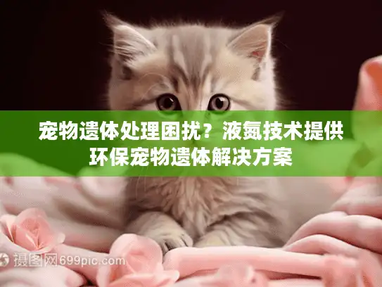 宠物遗体处理困扰？液氮技术提供环保宠物遗体解决方案