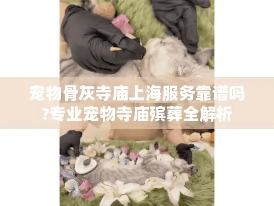 宠物骨灰寺庙上海服务靠谱吗?专业宠物寺庙殡葬全解析
