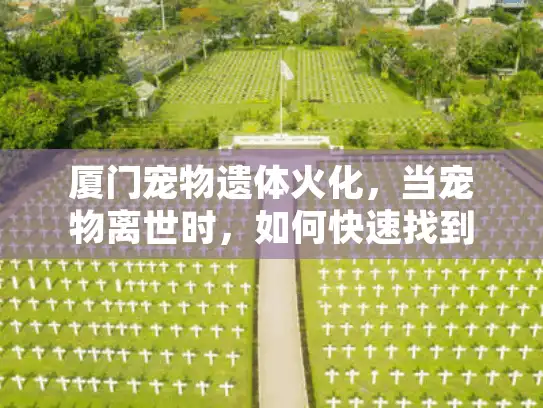 厦门宠物遗体火化，当宠物离世时，如何快速找到正规可靠的服务？