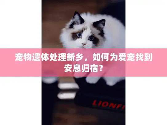 宠物遗体处理新乡，如何为爱宠找到安息归宿？