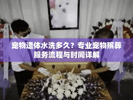 宠物遗体水洗多久？专业宠物殡葬服务流程与时间详解