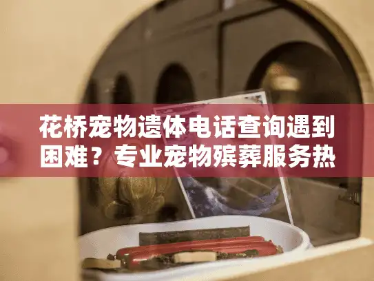 花桥宠物遗体电话查询遇到困难？专业宠物殡葬服务热线就在这里！