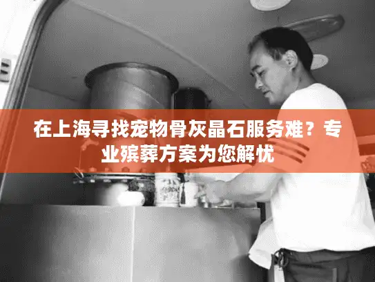 在上海寻找宠物骨灰晶石服务难？专业殡葬方案为您解忧