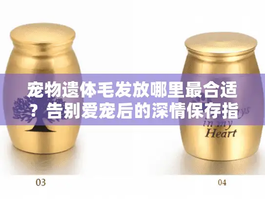 宠物遗体毛发放哪里最合适？告别爱宠后的深情保存指南
