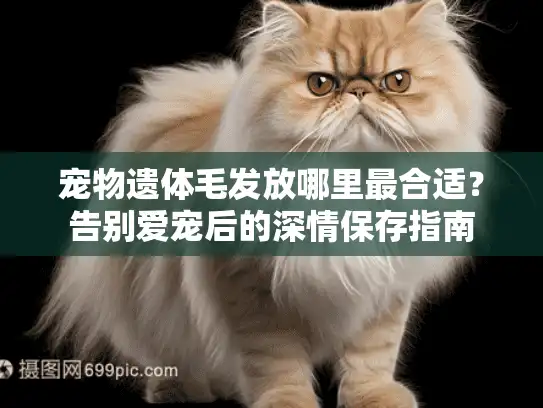 宠物遗体毛发放哪里最合适？告别爱宠后的深情保存指南