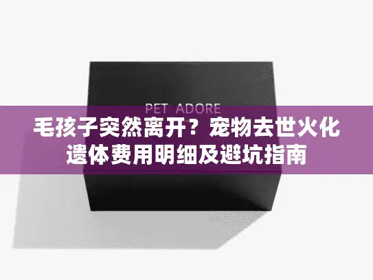 毛孩子突然离开？宠物去世火化遗体费用明细及避坑指南