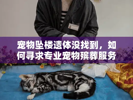 宠物坠楼遗体没找到，如何寻求专业宠物殡葬服务帮助？