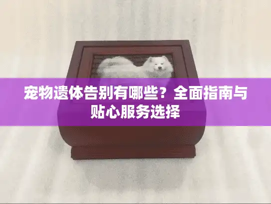 宠物遗体告别有哪些？全面指南与贴心服务选择