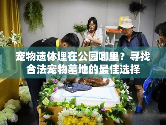 宠物遗体埋在公园哪里？寻找合法宠物墓地的最佳选择
