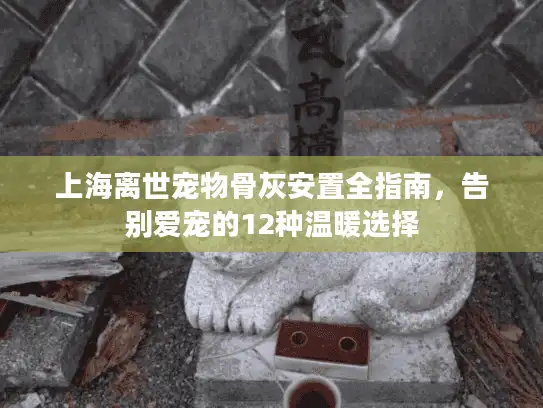 上海离世宠物骨灰安置全指南，告别爱宠的12种温暖选择