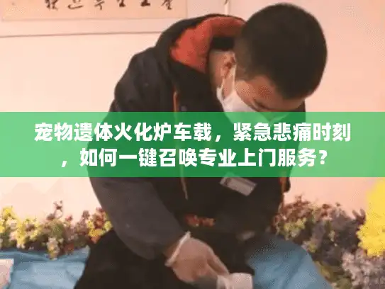 宠物遗体火化炉车载，紧急悲痛时刻，如何一键召唤专业上门服务？
