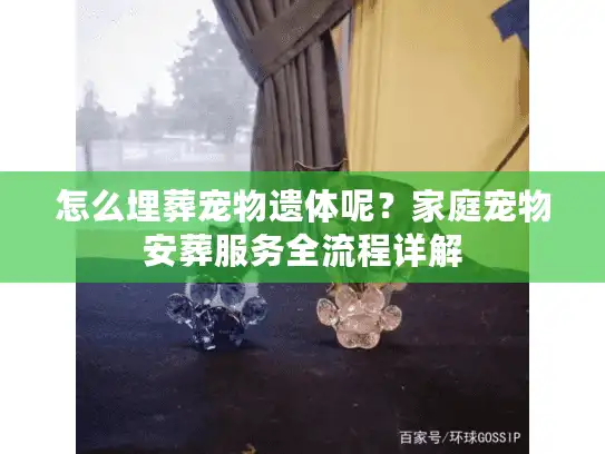 怎么埋葬宠物遗体呢？家庭宠物安葬服务全流程详解