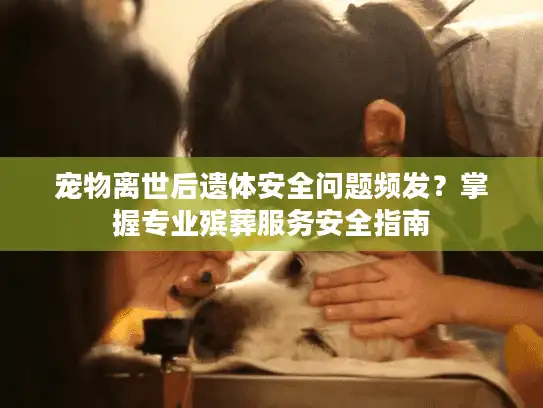 宠物离世后遗体安全问题频发？掌握专业殡葬服务安全指南