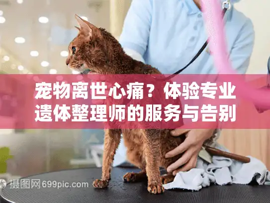 宠物离世心痛？体验专业遗体整理师的服务与告别仪式