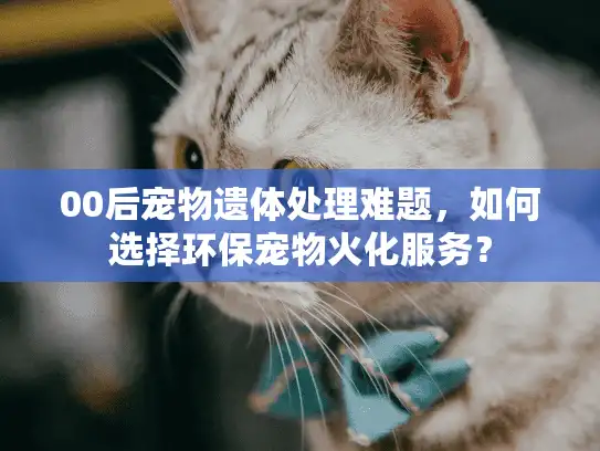 00后宠物遗体处理难题，如何选择环保宠物火化服务？