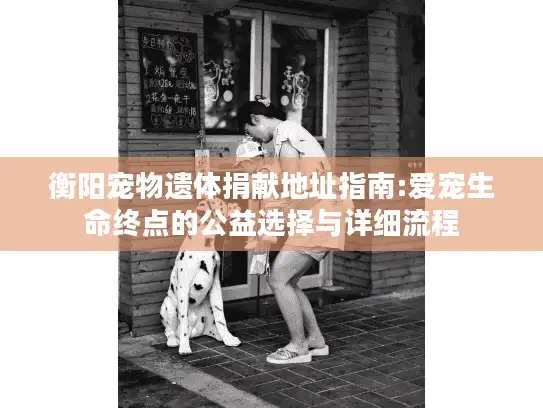衡阳宠物遗体捐献地址指南:爱宠生命终点的公益选择与详细流程