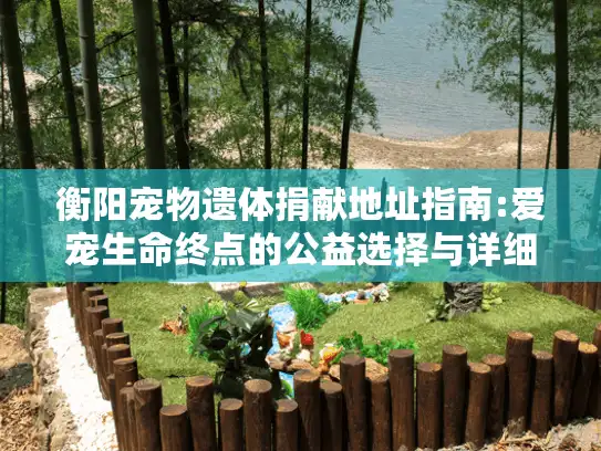 衡阳宠物遗体捐献地址指南:爱宠生命终点的公益选择与详细流程