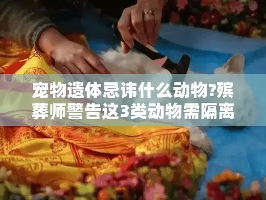 宠物遗体忌讳什么动物?殡葬师警告这3类动物需隔离