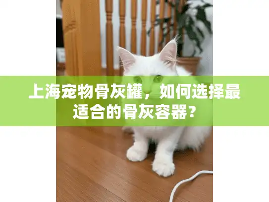 上海宠物骨灰罐，如何选择最适合的骨灰容器？