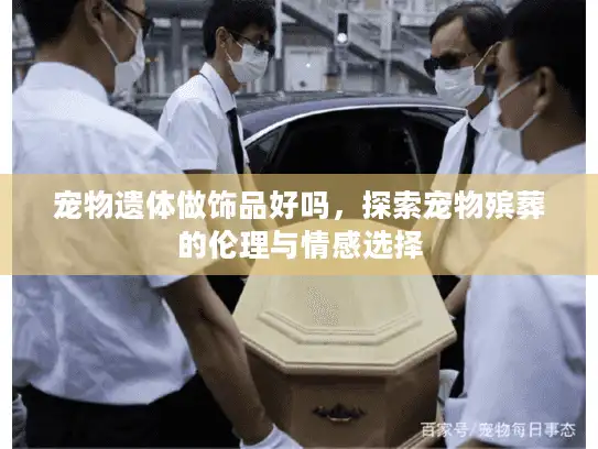 宠物遗体做饰品好吗，探索宠物殡葬的伦理与情感选择