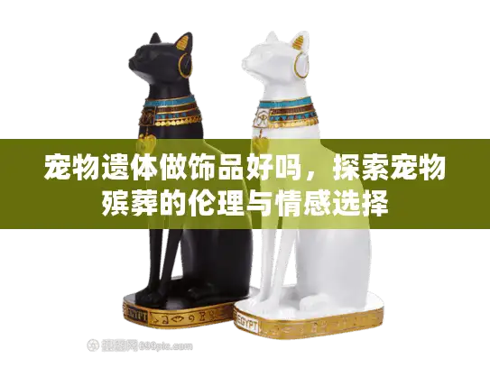 宠物遗体做饰品好吗，探索宠物殡葬的伦理与情感选择