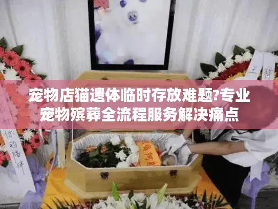 宠物店猫遗体临时存放难题?专业宠物殡葬全流程服务解决痛点