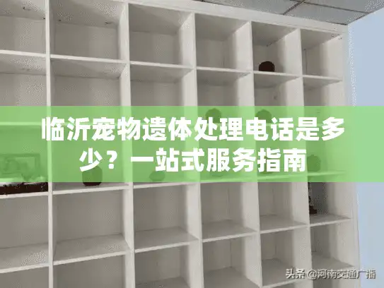 临沂宠物遗体处理电话是多少？一站式服务指南