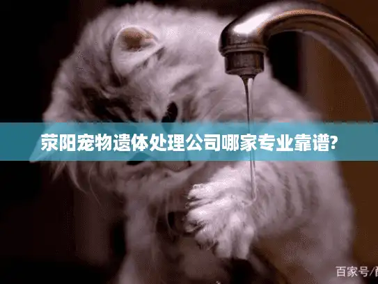 荥阳宠物遗体处理公司哪家专业靠谱?