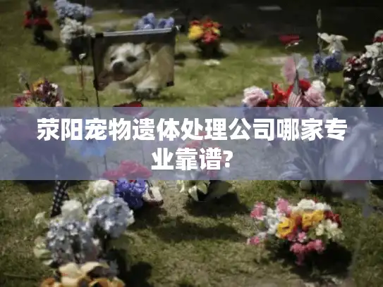 荥阳宠物遗体处理公司哪家专业靠谱?